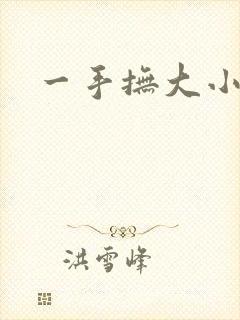 一手抚大小说