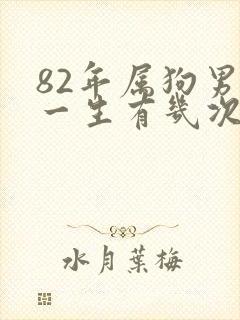 82年属狗男人一生有几次婚姻