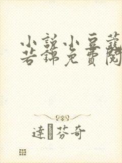 小说小豆蔻韶华若锦免费阅读全文无窗口