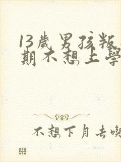 13岁男孩叛逆期不想上学怎么办