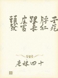 头皮跟脖子靠头发处长红疙瘩