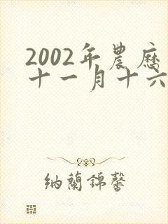 2002年农历十一月十六是什么命