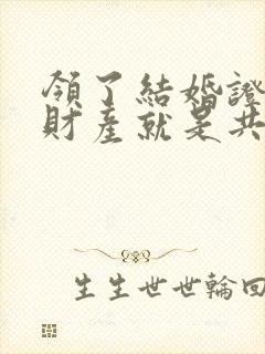 领了结婚证以后财产就是共有的吗封面