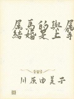 属马的与属狗的结婚是上等婚姻吗