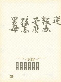 男孩子叛逆打父母怎么办封面