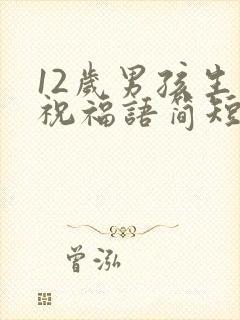 12岁男孩生日祝福语简短精辟封面