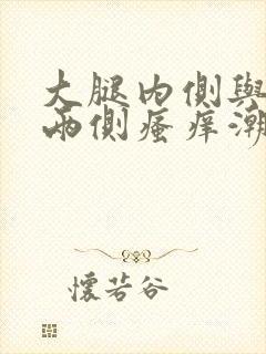 大腿内侧与阴囊两侧瘙痒潮湿用什么药膏