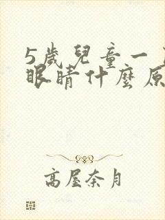 5岁儿童一直眨眼睛什么原因封面