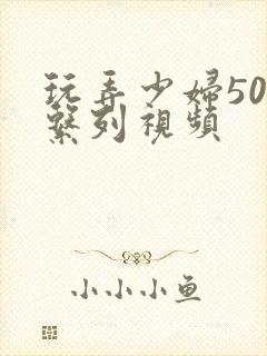 玩弄少妇500系列视频