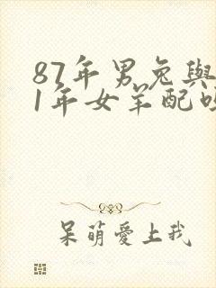 87年男兔与91年女羊配吗