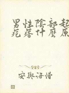 男性阴部起红色疙瘩什么原因