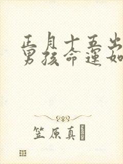 正月十五出生的男孩命运如何