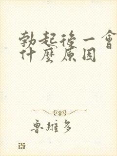 勃起后一会就软什么原因