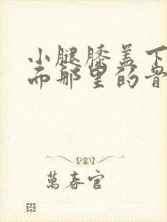 小腿膝盖下方前面那里的骨头一按就感到疼