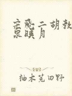 宋飞二胡教学二泉映月