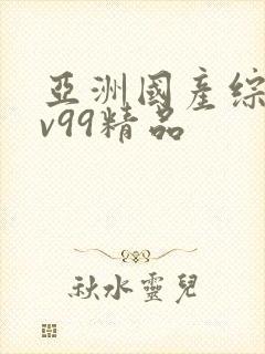 亚洲国产综合av99精品