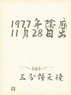 1977年阴历11月28日出生女命