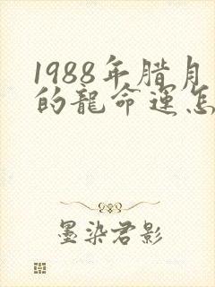 1988年腊月的龙命运怎么样