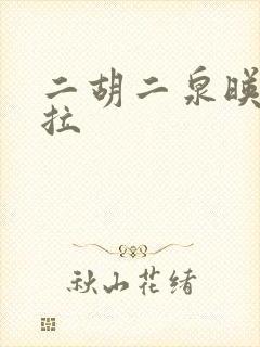 二胡二泉映月慢拉