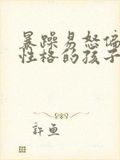 暴躁易怒偏激的性格的孩子