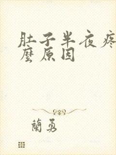 肚子半夜疼是什么原因封面