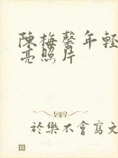 陈梅馨年轻时漂亮照片封面