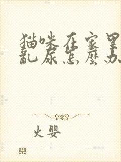 猫咪在家里到处乱尿怎么办