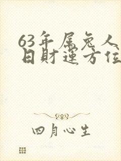 63年属兔人今日财运方位封面
