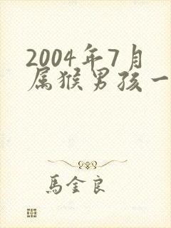 2004年7月属猴男孩一生命运封面