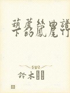 葫芦丝曲谱月光下的凤尾竹教唱