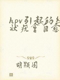 hpv引起的丝状疣会自愈吗