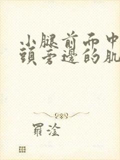 小腿前面中间骨头旁边的肌肉酸痛