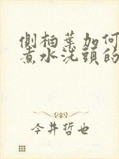 侧柏叶加何首乌煮水洗头的功效