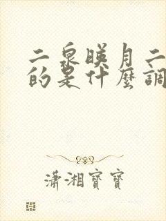 二泉映月二胡用的是什么调