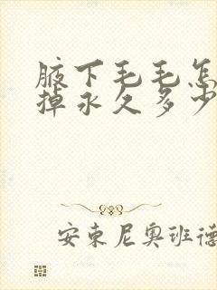 腋下毛毛怎么去掉永久多少钱