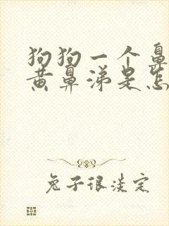 狗狗一个鼻孔流黄鼻涕是怎么回事