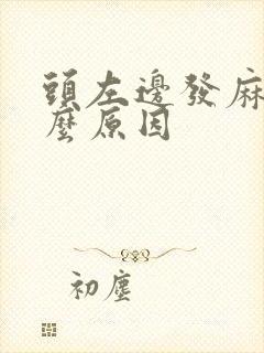 头左边发麻是什么原因