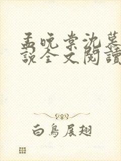 孟晚棠沈慕然小说全文阅读