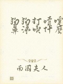 狗狗打喷嚏流清鼻涕吃什么药