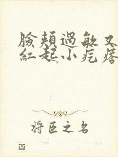 脸颊过敏又痒又红起小疙瘩