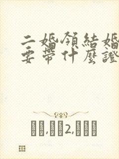 二婚领结婚证需要带什么证件