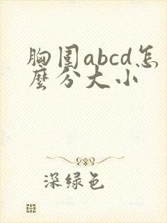 胸围abcd怎么分大小