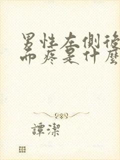 男性左侧后腰里面疼是什么原因