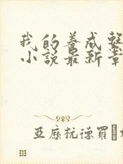 我的养成系女友小说最新章节