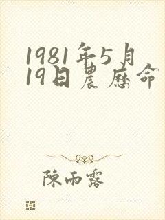 1981年5月19日农历命运封面