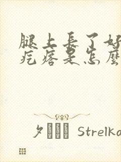 腿上长了好多小疙瘩是怎么回事