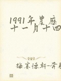 1991年农历十一月十四日出生的人的命运