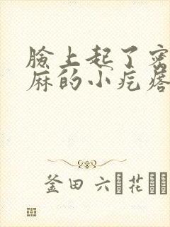 脸上起了密密麻麻的小疙瘩发红发热