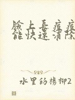 脸上长痘痘怎么能快速消除