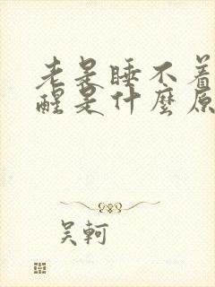 老是睡不着容易醒是什么原因